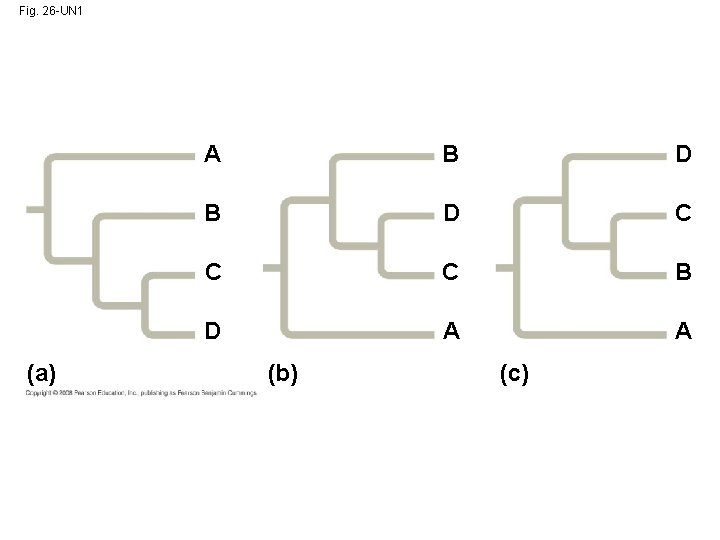 Fig. 26 -UN 1 (a) A B D C C C B D A