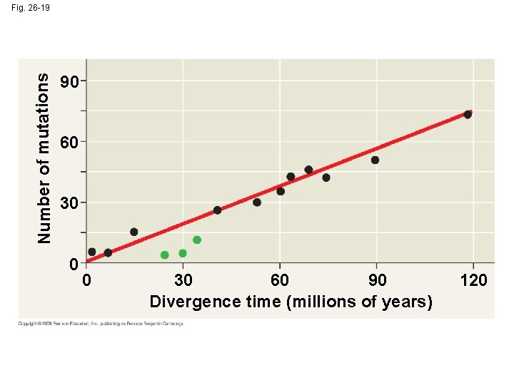 Number of mutations Fig. 26 -19 90 60 30 0 0 30 60 90