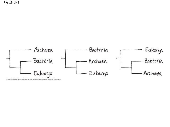 Fig. 26 -UN 9 