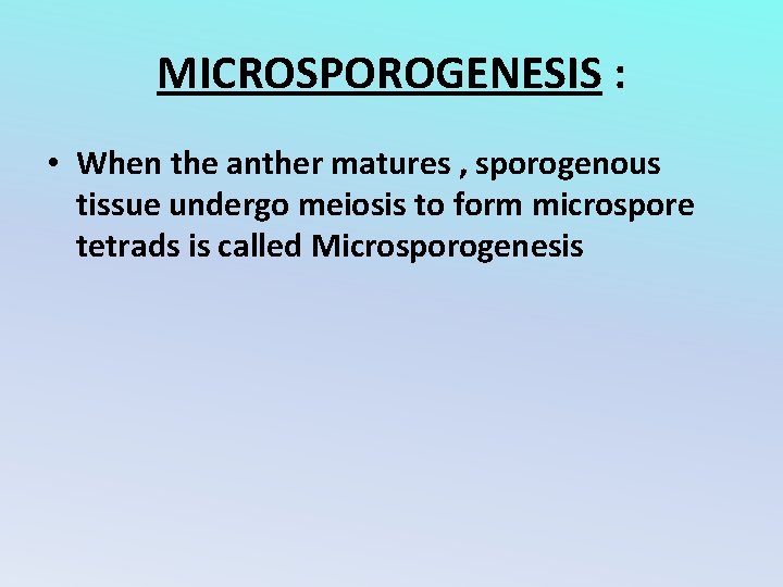 MICROSPOROGENESIS : • When the anther matures , sporogenous tissue undergo meiosis to form