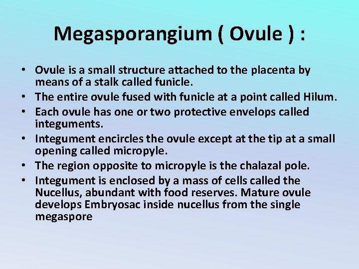 Megasporangium ( Ovule ) : • Ovule is a small structure attached to the