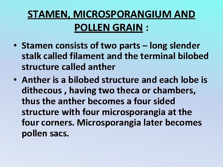 STAMEN, MICROSPORANGIUM AND POLLEN GRAIN : • Stamen consists of two parts – long