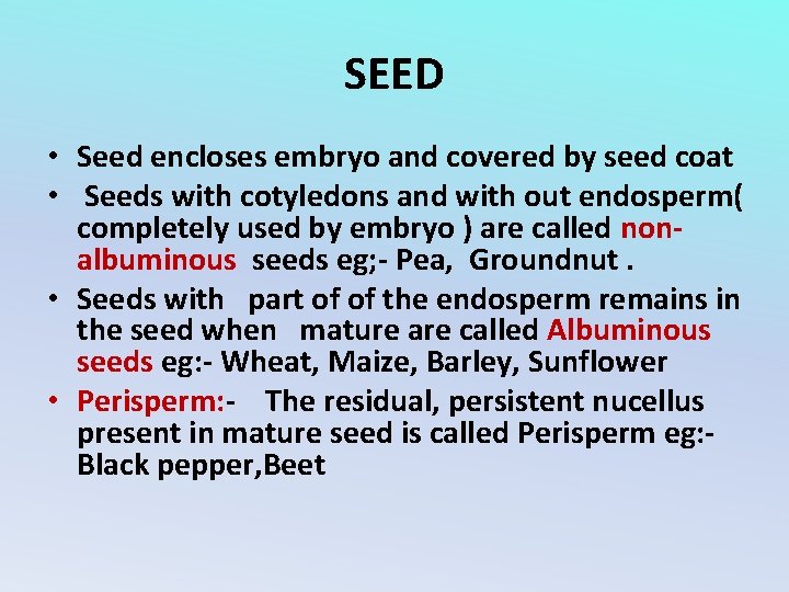 SEED • Seed encloses embryo and covered by seed coat • Seeds with cotyledons