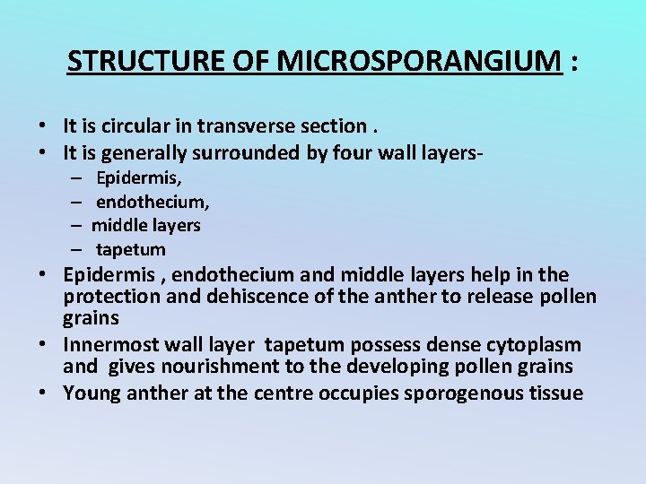 STRUCTURE OF MICROSPORANGIUM : • It is circular in transverse section. • It is
