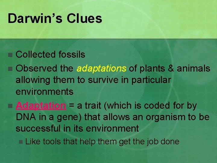 EVOLUTION CHAPTER 15 Natural Selection the Evidence for