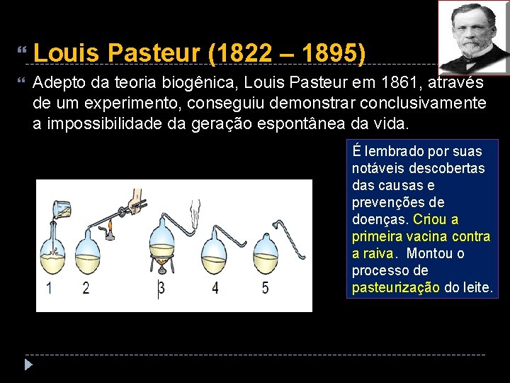  Louis Pasteur (1822 – 1895) Adepto da teoria biogênica, Louis Pasteur em 1861,