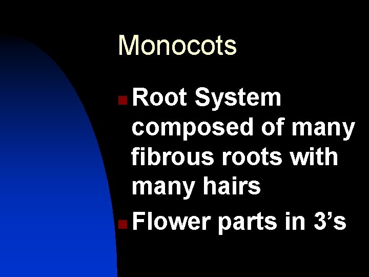 Monocots Root System composed of many fibrous roots with many hairs n Flower parts