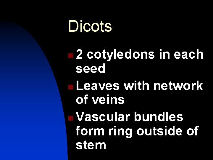 Dicots 2 cotyledons in each seed n Leaves with network of veins n Vascular