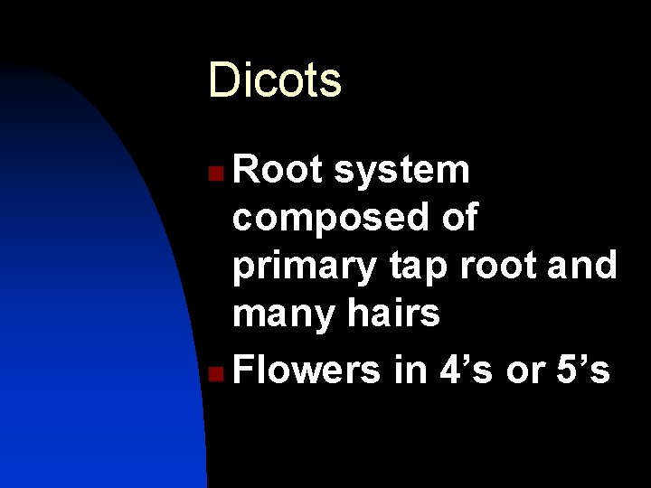 Dicots Root system composed of primary tap root and many hairs n Flowers in