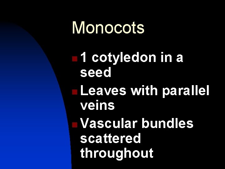 Monocots 1 cotyledon in a seed n Leaves with parallel veins n Vascular bundles