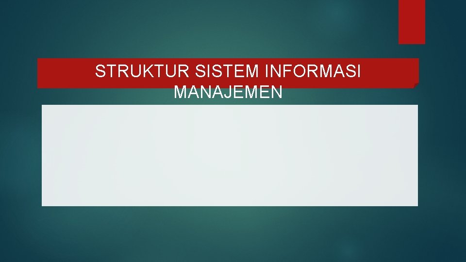 STRUKTUR SISTEM INFORMASI MANAJEMEN 