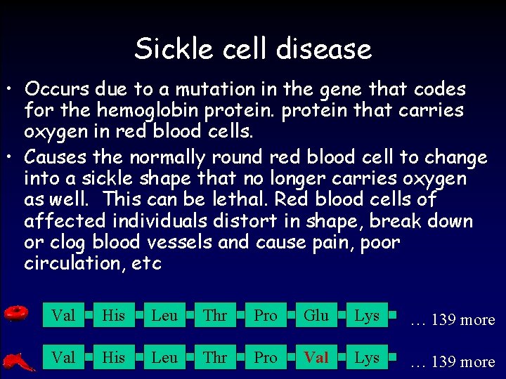 Sickle cell disease • Occurs due to a mutation in the gene that codes