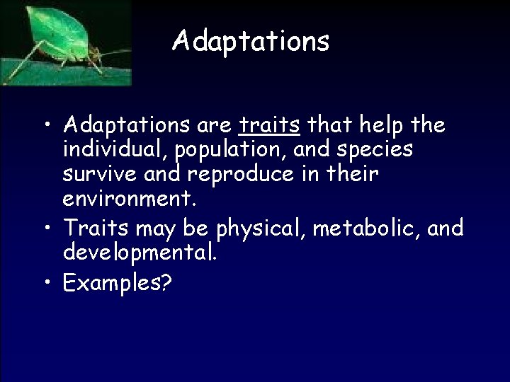 Adaptations • Adaptations are traits that help the individual, population, and species survive and