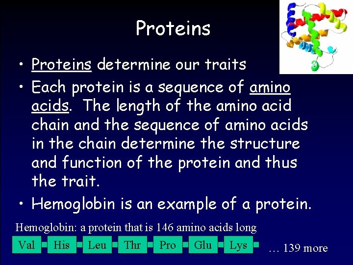 Proteins • Proteins determine our traits • Each protein is a sequence of amino