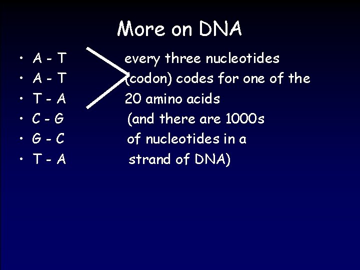 More on DNA • • • A-T T-A C-G G-C T-A every three nucleotides