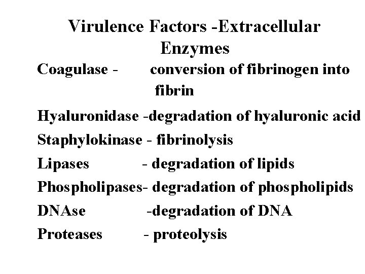 Virulence Factors -Extracellular Enzymes Coagulase - conversion of fibrinogen into fibrin Hyaluronidase -degradation of