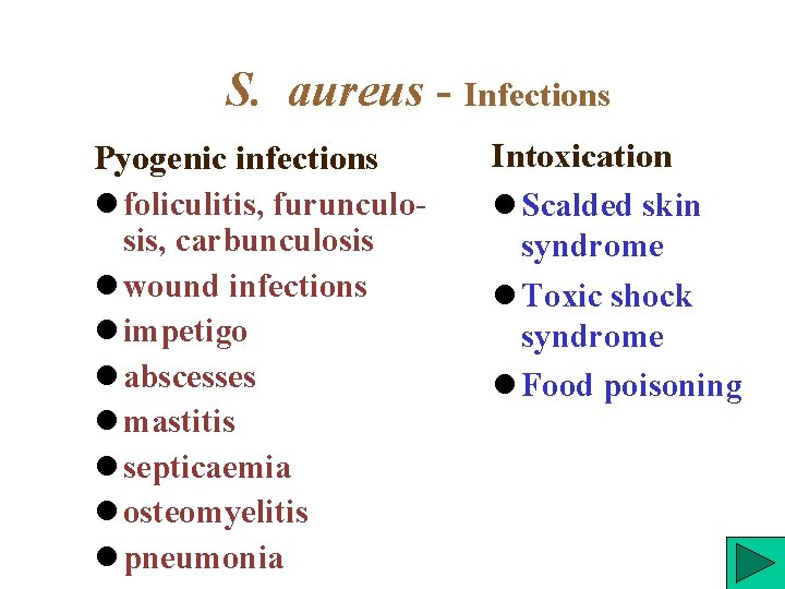 S. aureus - Infections Pyogenic infections foliculitis, furunculosis, carbunculosis wound infections impetigo abscesses mastitis