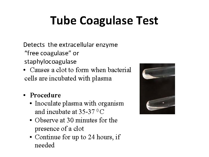 Tube Coagulase Test Detects the extracellular enzyme “free coagulase” or staphylocoagulase • Causes a