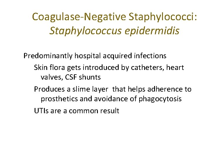 Coagulase-Negative Staphylococci: Staphylococcus epidermidis Predominantly hospital acquired infections Skin flora gets introduced by catheters,