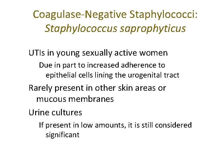 Coagulase-Negative Staphylococci: Staphylococcus saprophyticus UTIs in young sexually active women Due in part to
