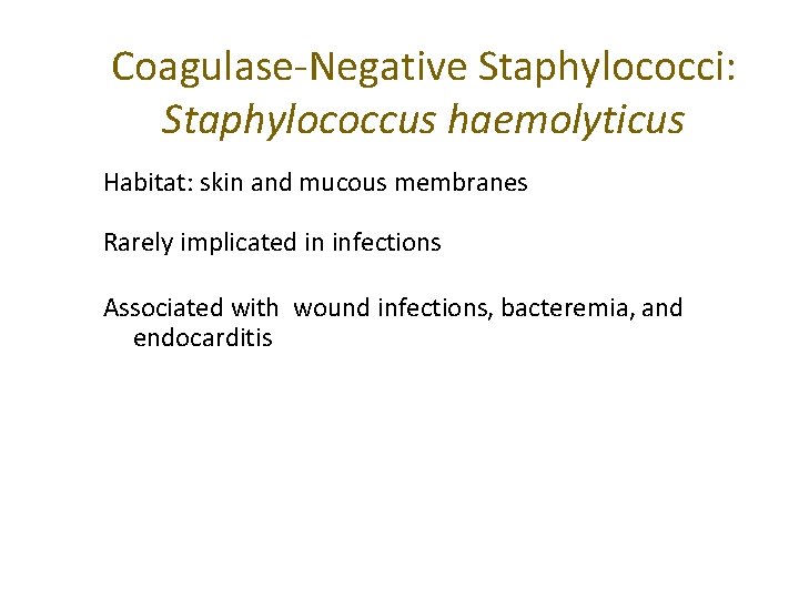 Coagulase-Negative Staphylococci: Staphylococcus haemolyticus Habitat: skin and mucous membranes Rarely implicated in infections Associated