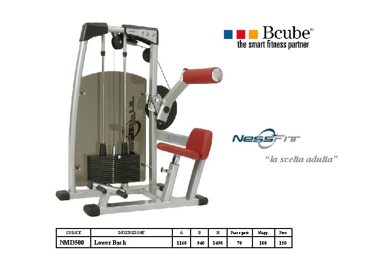 “la scelta adulta” CODICE NMI 3500 DESCRIZIONE Lower Back A 1160 B 940 H “la scelta adulta” CODICE NMI 3500 DESCRIZIONE Lower Back A 1160 B 940 H