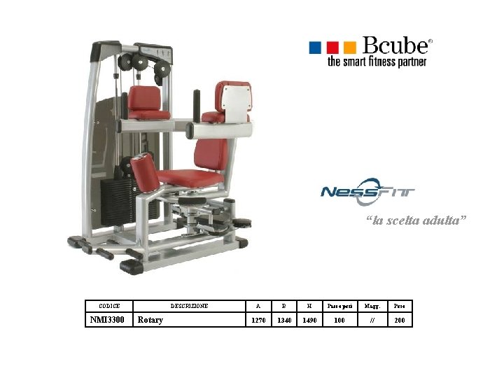 “la scelta adulta” CODICE NMI 3300 DESCRIZIONE Rotary A B H Pacco pesi Magg. “la scelta adulta” CODICE NMI 3300 DESCRIZIONE Rotary A B H Pacco pesi Magg.