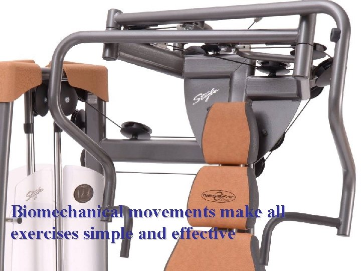 Biomechanical movements make all exercises simple and effective Biomechanical movements make all exercises simple and effective