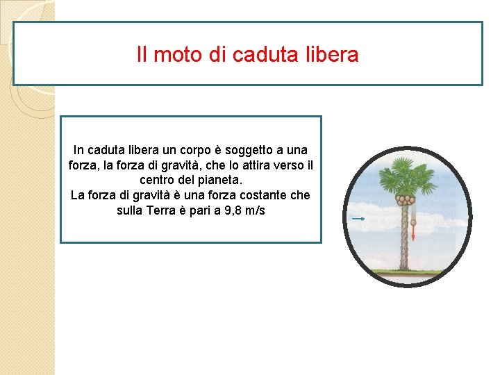 Il moto di caduta libera In caduta libera un corpo è soggetto a una