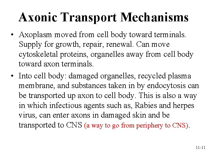 Axonic Transport Mechanisms • Axoplasm moved from cell body toward terminals. Supply for growth, Axonic Transport Mechanisms • Axoplasm moved from cell body toward terminals. Supply for growth,