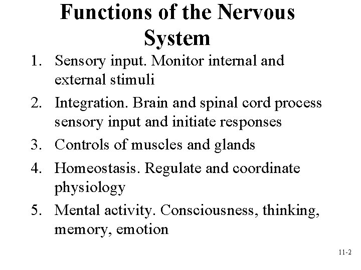 Functions of the Nervous System 1. Sensory input. Monitor internal and external stimuli 2. Functions of the Nervous System 1. Sensory input. Monitor internal and external stimuli 2.