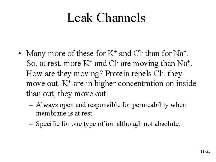 Leak Channels • Many more of these for K+ and Cl- than for Na+. Leak Channels • Many more of these for K+ and Cl- than for Na+.