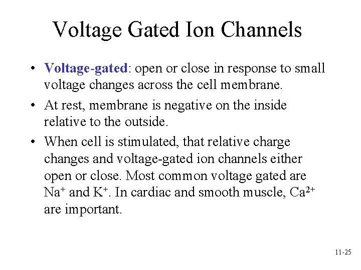 Voltage Gated Ion Channels • Voltage-gated: open or close in response to small voltage Voltage Gated Ion Channels • Voltage-gated: open or close in response to small voltage
