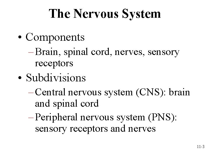 The Nervous System • Components – Brain, spinal cord, nerves, sensory receptors • Subdivisions The Nervous System • Components – Brain, spinal cord, nerves, sensory receptors • Subdivisions