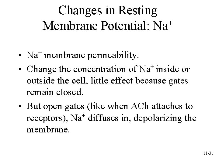 Changes in Resting Membrane Potential: Na+ • Na+ membrane permeability. • Change the concentration Changes in Resting Membrane Potential: Na+ • Na+ membrane permeability. • Change the concentration