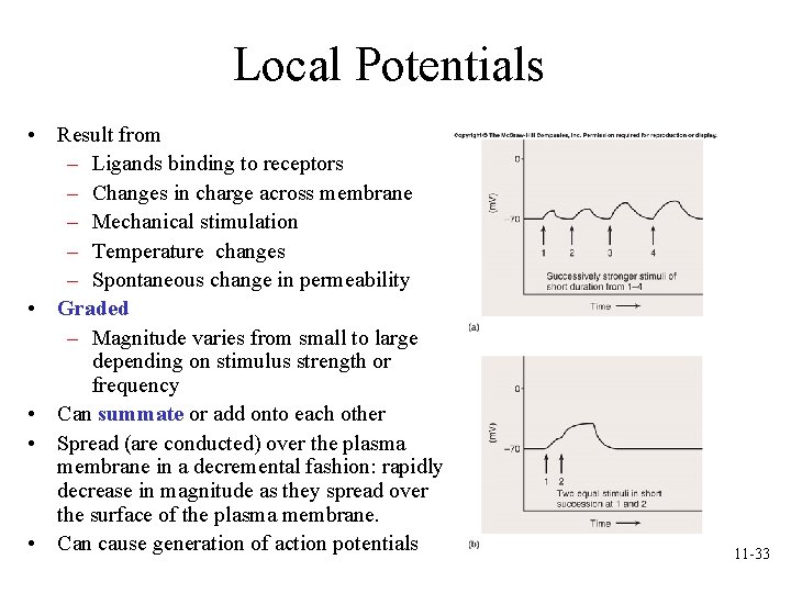 Local Potentials • Result from – Ligands binding to receptors – Changes in charge Local Potentials • Result from – Ligands binding to receptors – Changes in charge