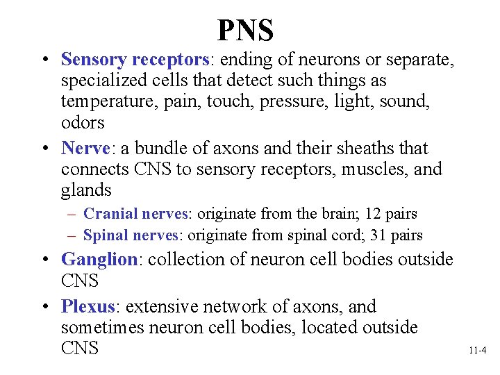 PNS • Sensory receptors: ending of neurons or separate, specialized cells that detect such PNS • Sensory receptors: ending of neurons or separate, specialized cells that detect such