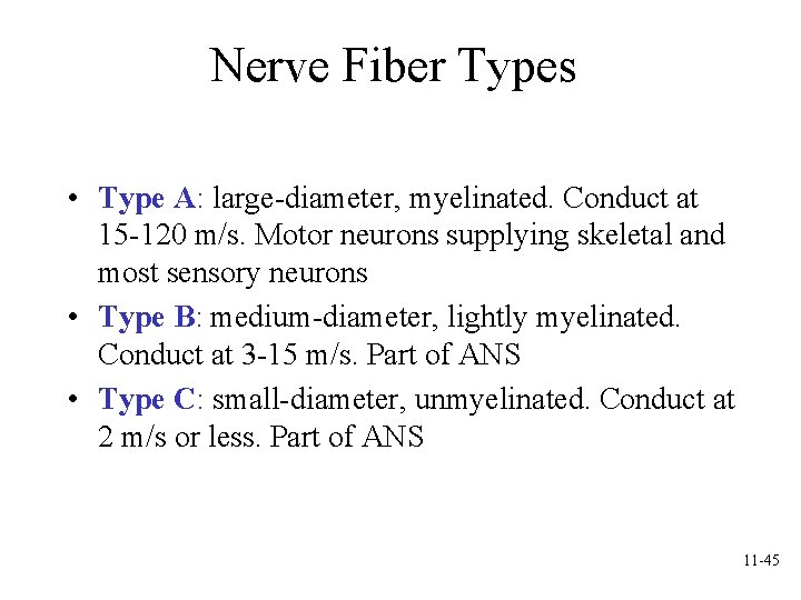 Nerve Fiber Types • Type A: large-diameter, myelinated. Conduct at 15 -120 m/s. Motor Nerve Fiber Types • Type A: large-diameter, myelinated. Conduct at 15 -120 m/s. Motor
