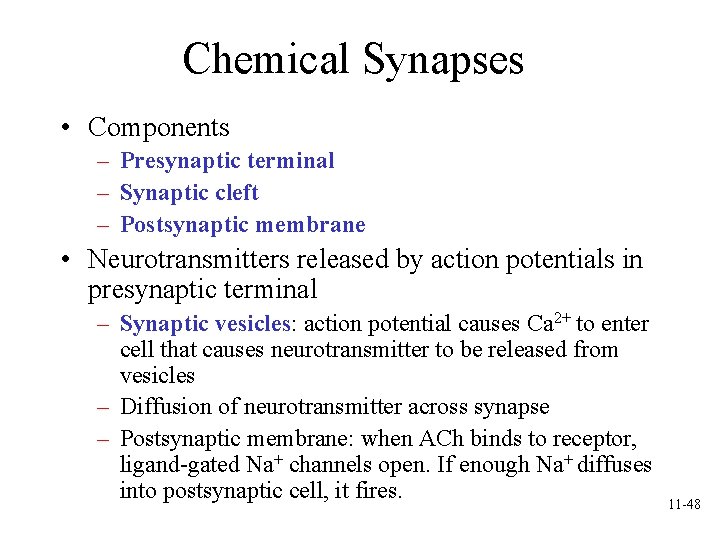 Chemical Synapses • Components – Presynaptic terminal – Synaptic cleft – Postsynaptic membrane • Chemical Synapses • Components – Presynaptic terminal – Synaptic cleft – Postsynaptic membrane •