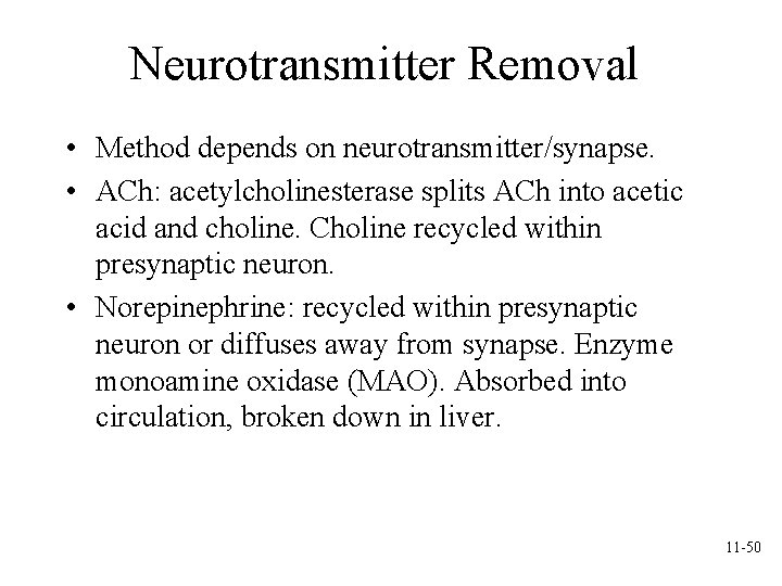 Neurotransmitter Removal • Method depends on neurotransmitter/synapse. • ACh: acetylcholinesterase splits ACh into acetic Neurotransmitter Removal • Method depends on neurotransmitter/synapse. • ACh: acetylcholinesterase splits ACh into acetic
