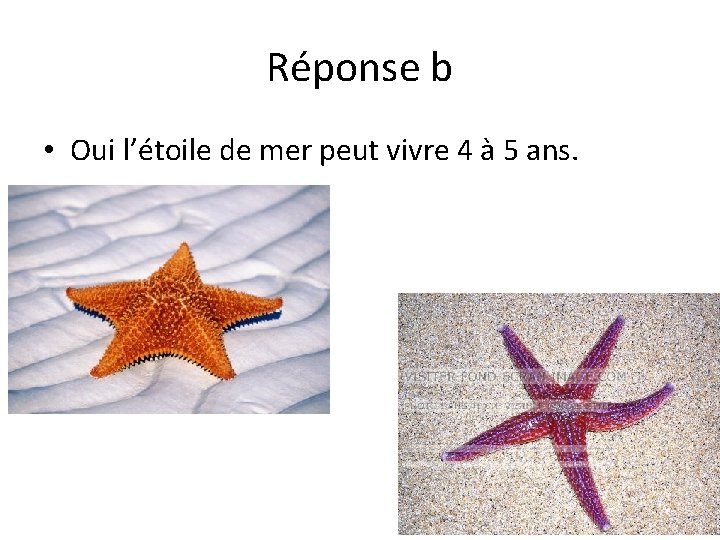 Réponse b • Oui l’étoile de mer peut vivre 4 à 5 ans. 