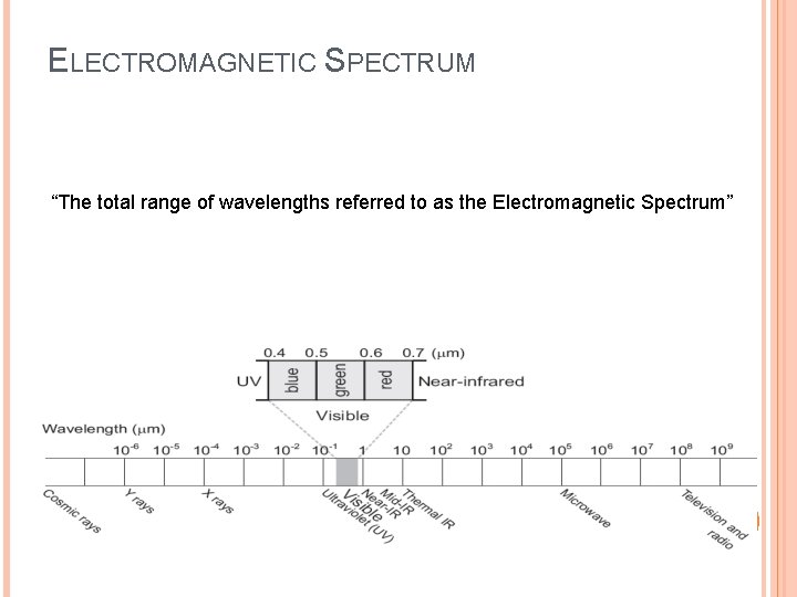 ELECTROMAGNETIC SPECTRUM “The total range of wavelengths referred to as the Electromagnetic Spectrum” 