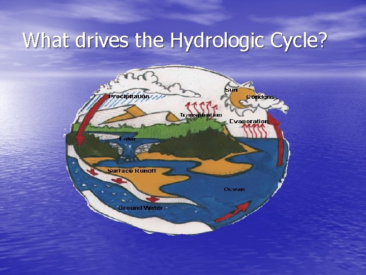 What drives the Hydrologic Cycle? 