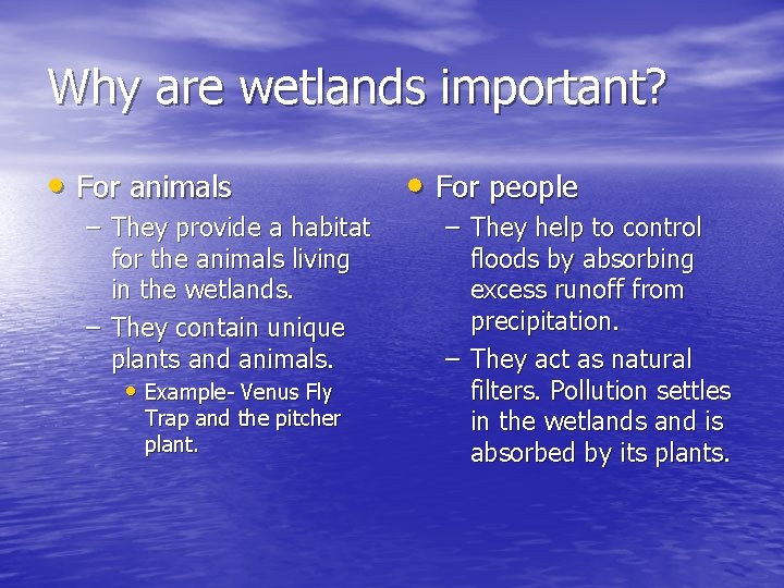 Why are wetlands important? • For animals – They provide a habitat for the