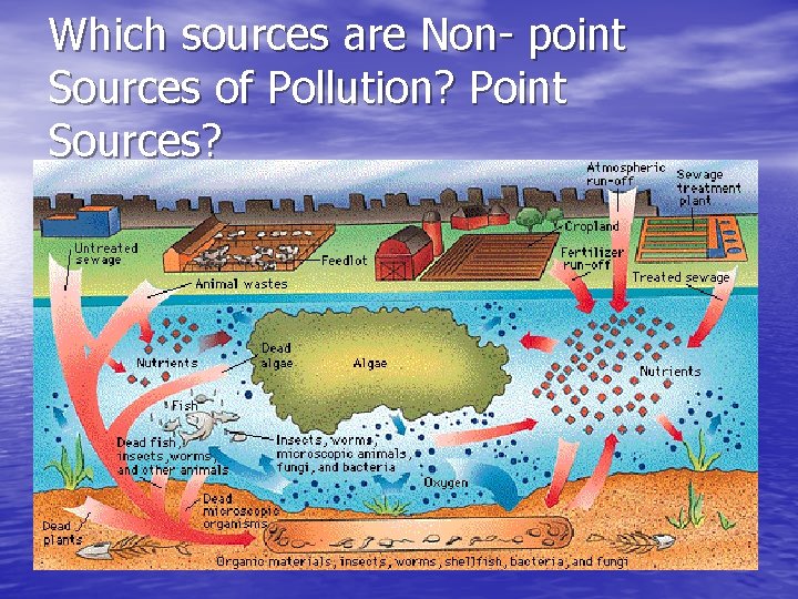 Which sources are Non- point Sources of Pollution? Point Sources? 