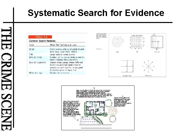 Systematic Search for Evidence 