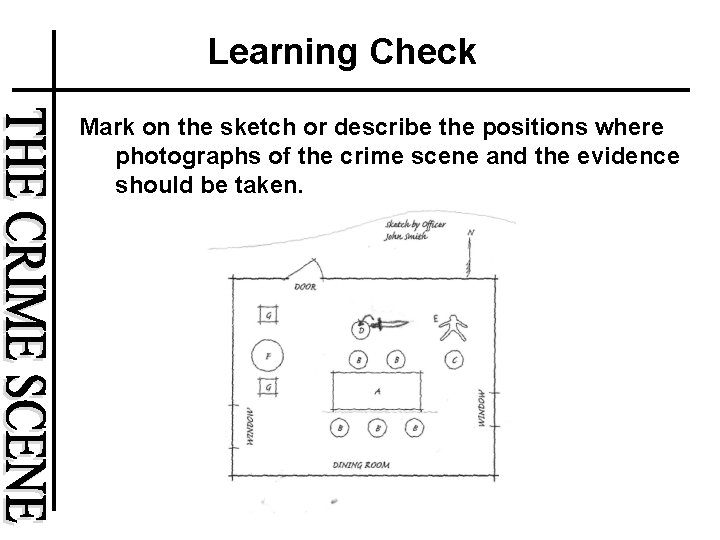 Learning Check Mark on the sketch or describe the positions where photographs of the