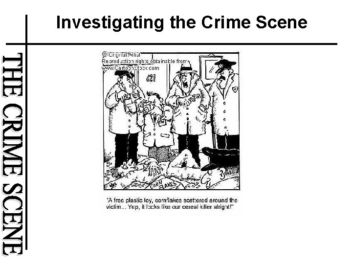 Investigating the Crime Scene 