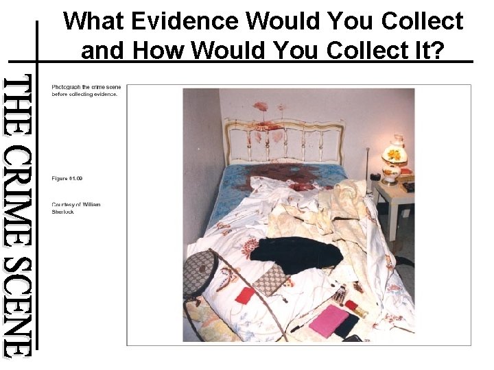 What Evidence Would You Collect and How Would You Collect It? 