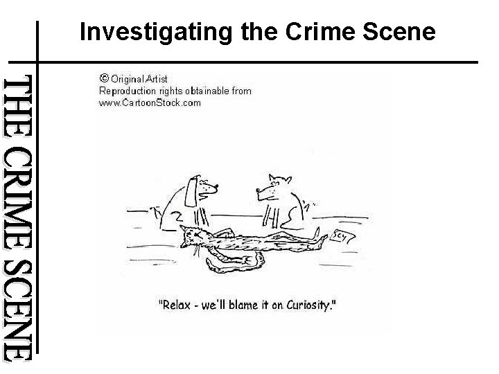 Investigating the Crime Scene 